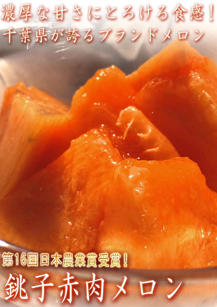 銚子メロン 赤肉厳選 約3kg 2玉入り 千葉県産 贈答規格 大玉限定
