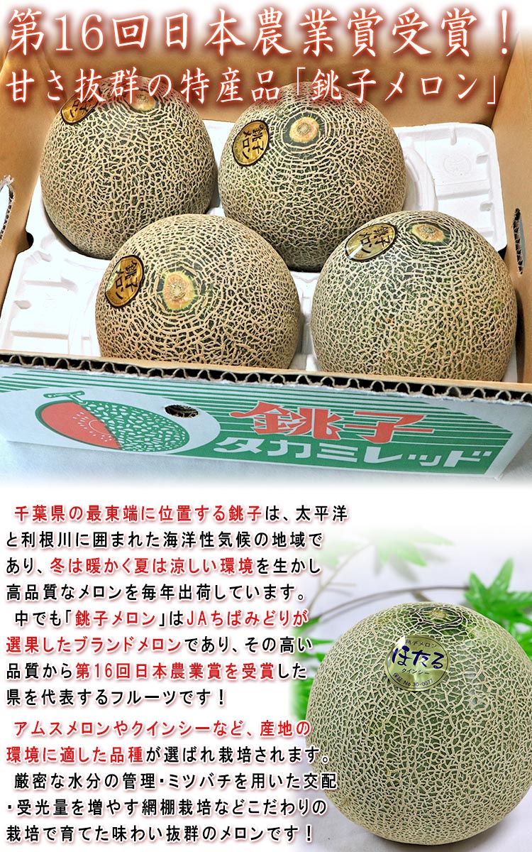 メロンページ imgrc0121982095.jpg