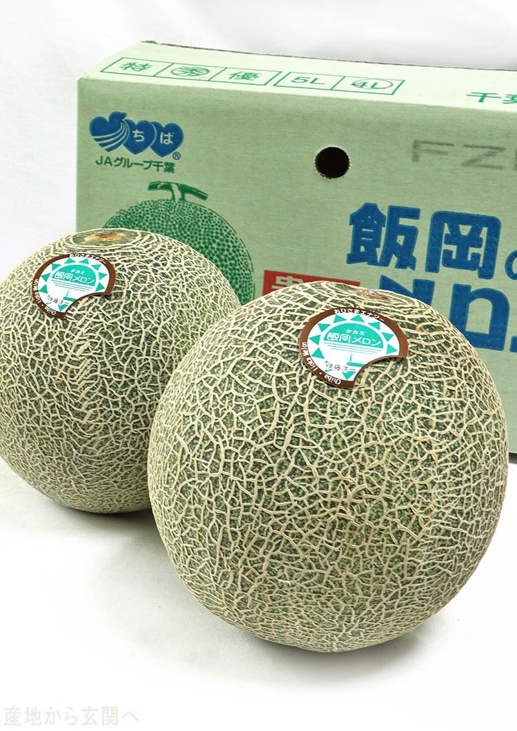 飯岡メロン 千葉