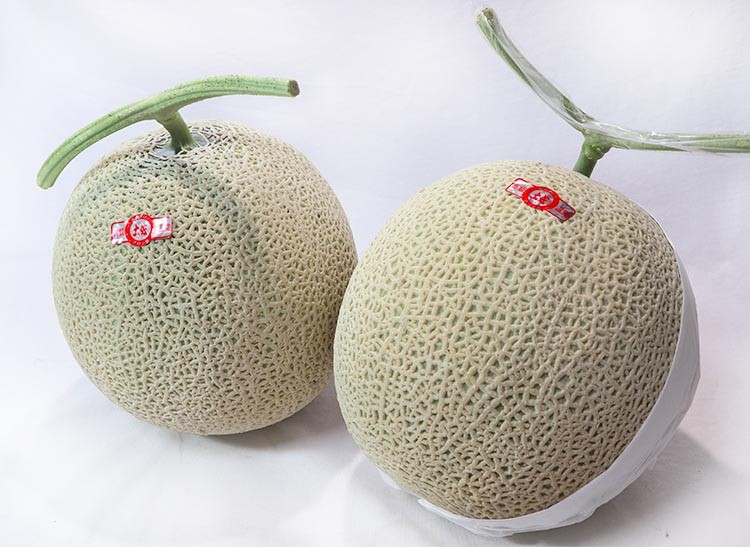 マスクメロン 赤肉限定 2玉入り 計約3kg 高知又茨城産 贈答規格 JA共撰