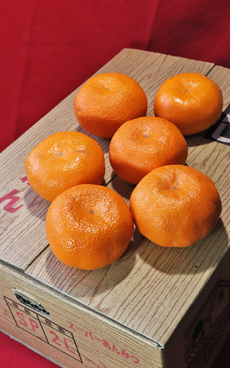 あんみつ姫 温州みかん 約3kg S〜2L 佐賀県産 JAさが 糖度13度