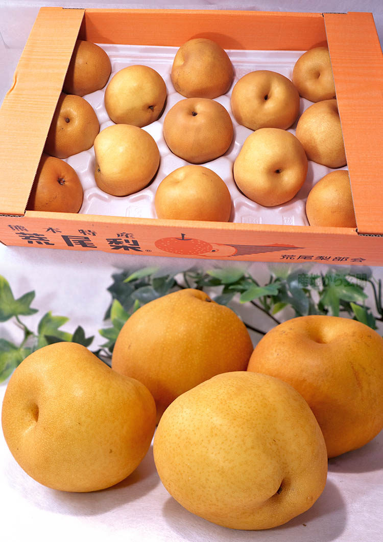 荒尾梨 あらおなし 新高・晩三吉 約5kg 8〜14玉 熊本県・荒尾産限定