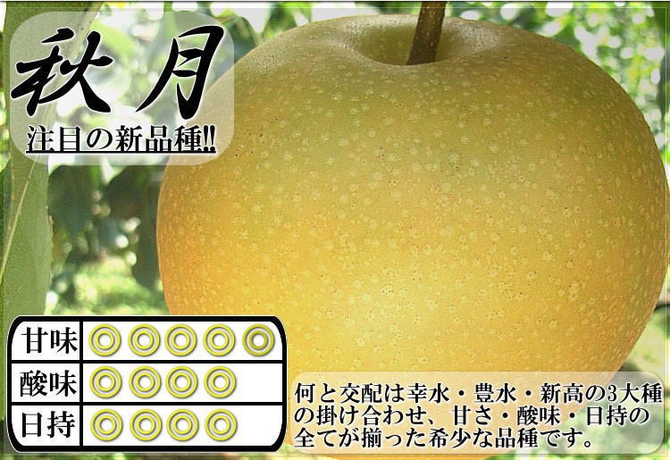 あきづき ナシ