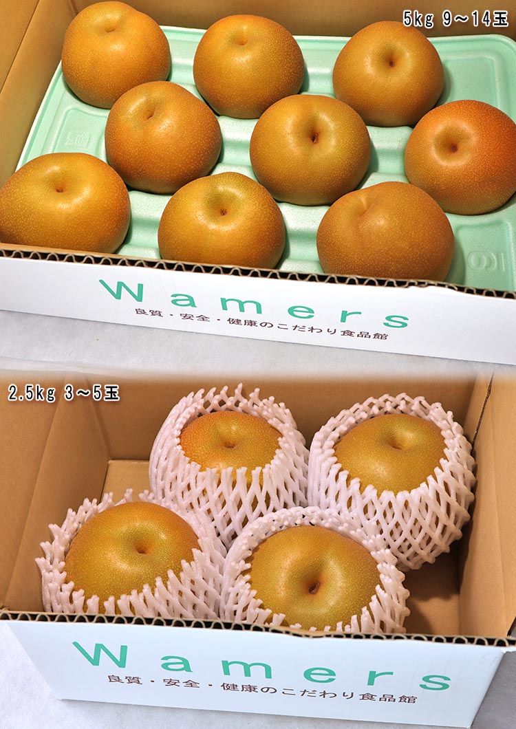 豊水 和梨 約2.5kg 3〜5玉 千葉県産 贈答規格 大玉限定 秀品〜優品