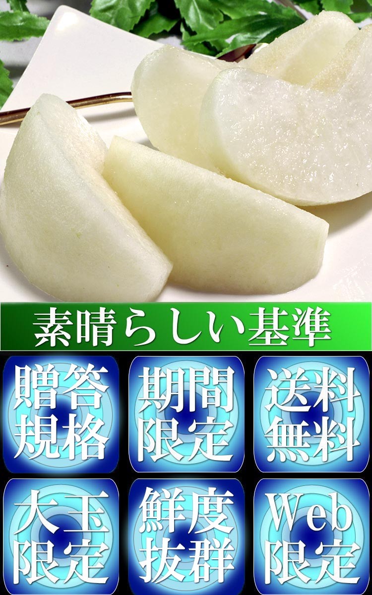 千葉手賀沼の自然を描く,日下賢二「ひとやすみ」50号油彩,ゆりかもめ,県展出品作 千葉手賀沼の自然を描く,日下賢二「ひとやすみ」50号油彩
