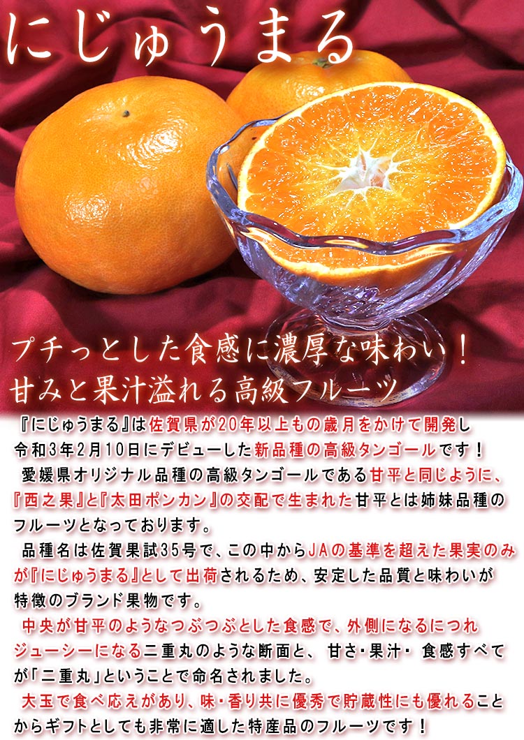 にじゅうまる タンゴール