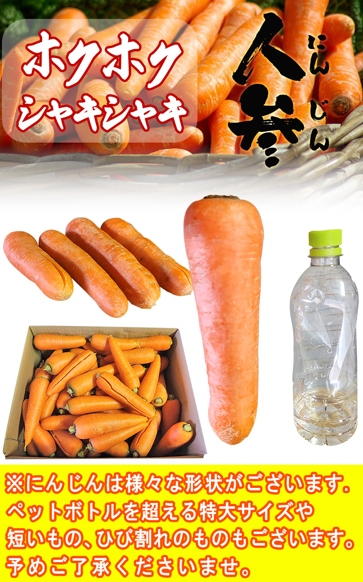 送料無料 人参
