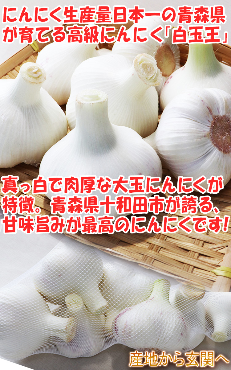 青森県産　生にんにく10Kg 2L 業務用】青森県産むきにんにくヘタ切り【10kg/1箱入】｜岡崎商店