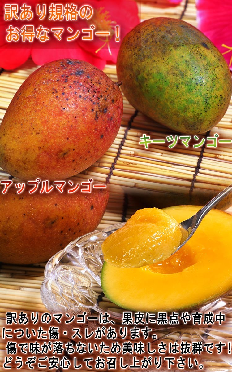 訳あり 果物