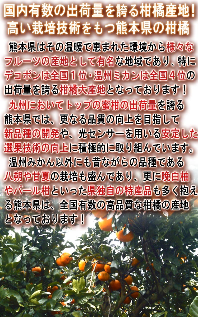 フルーツ 熊本