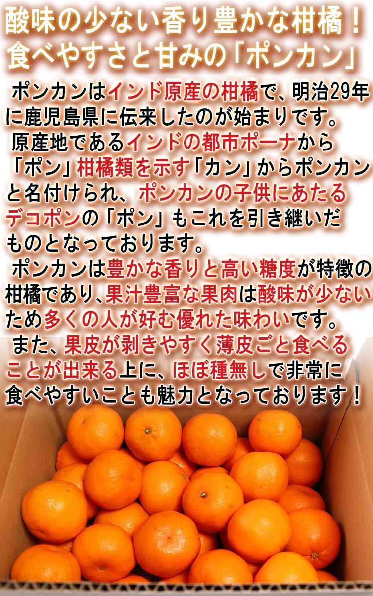 ポンカン 果物