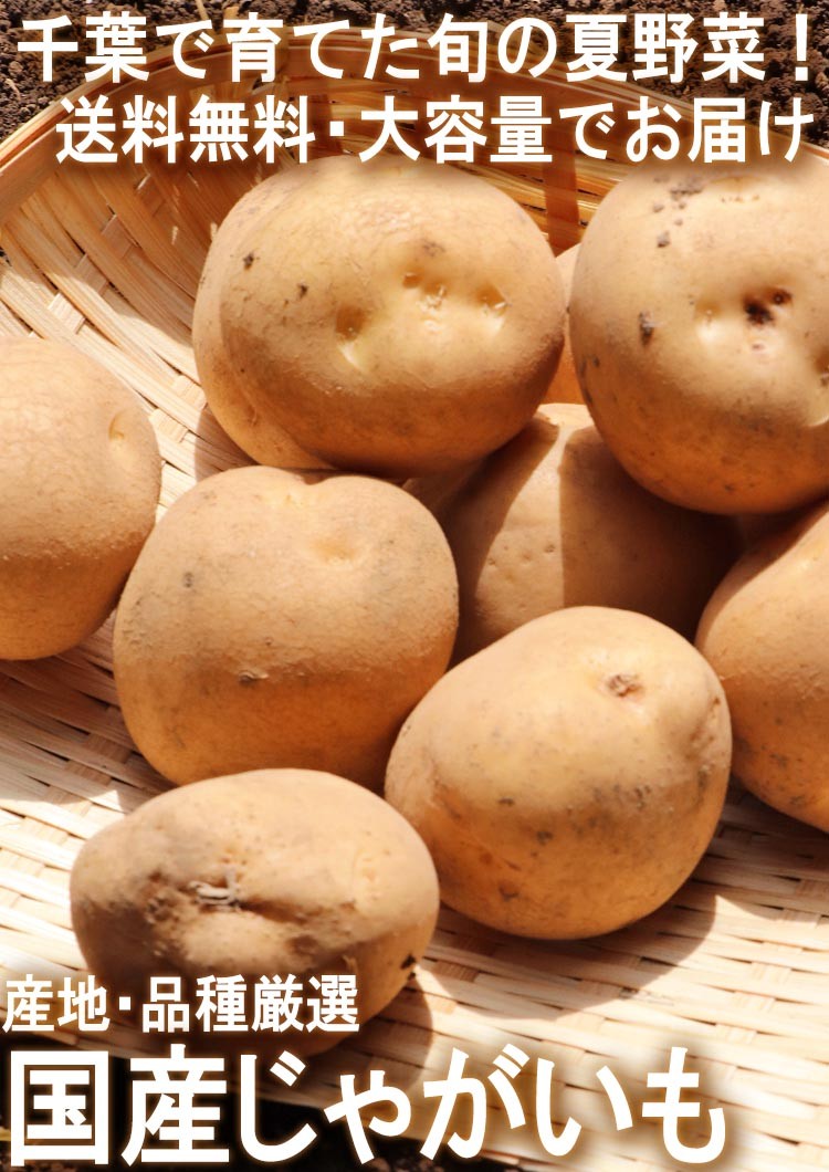 じゃがいも 千葉