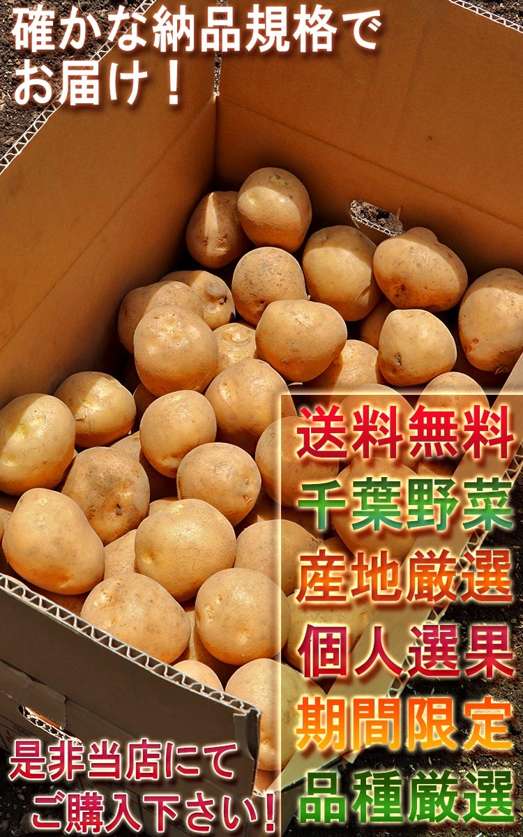 千葉 馬鈴薯