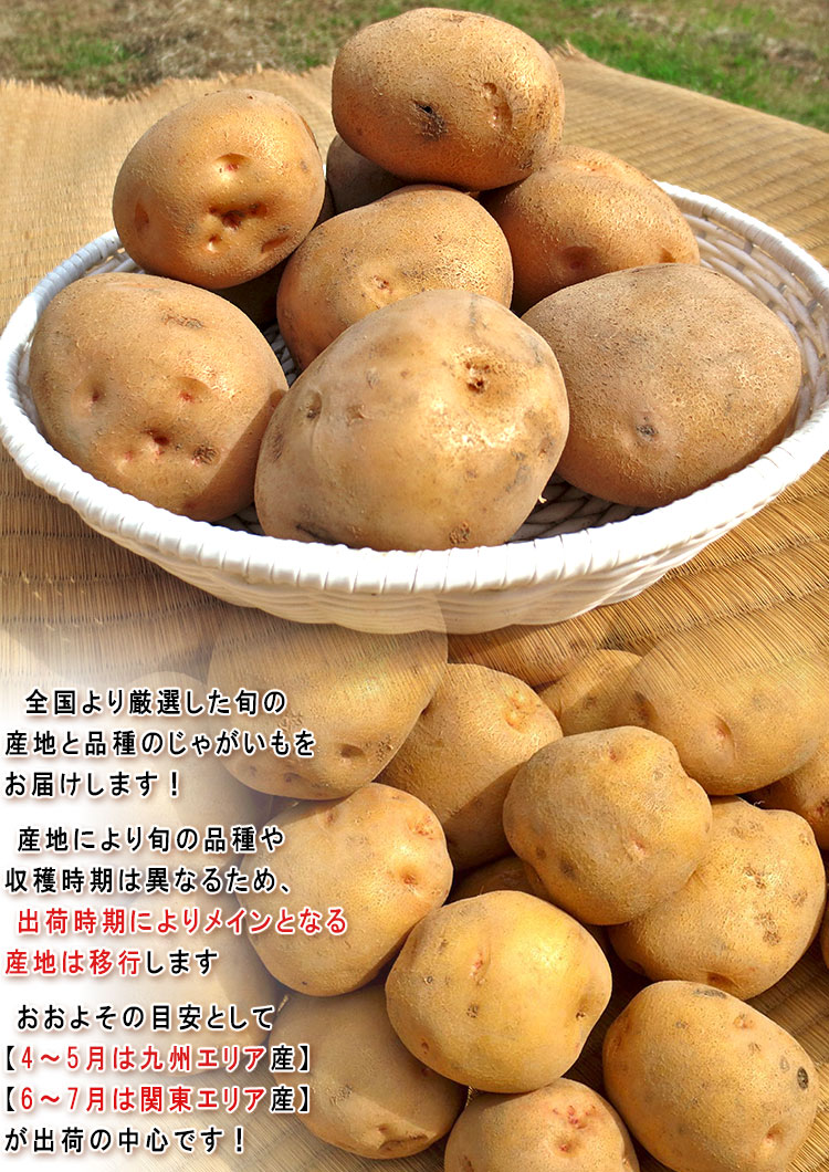 ばれいしょ 全国
