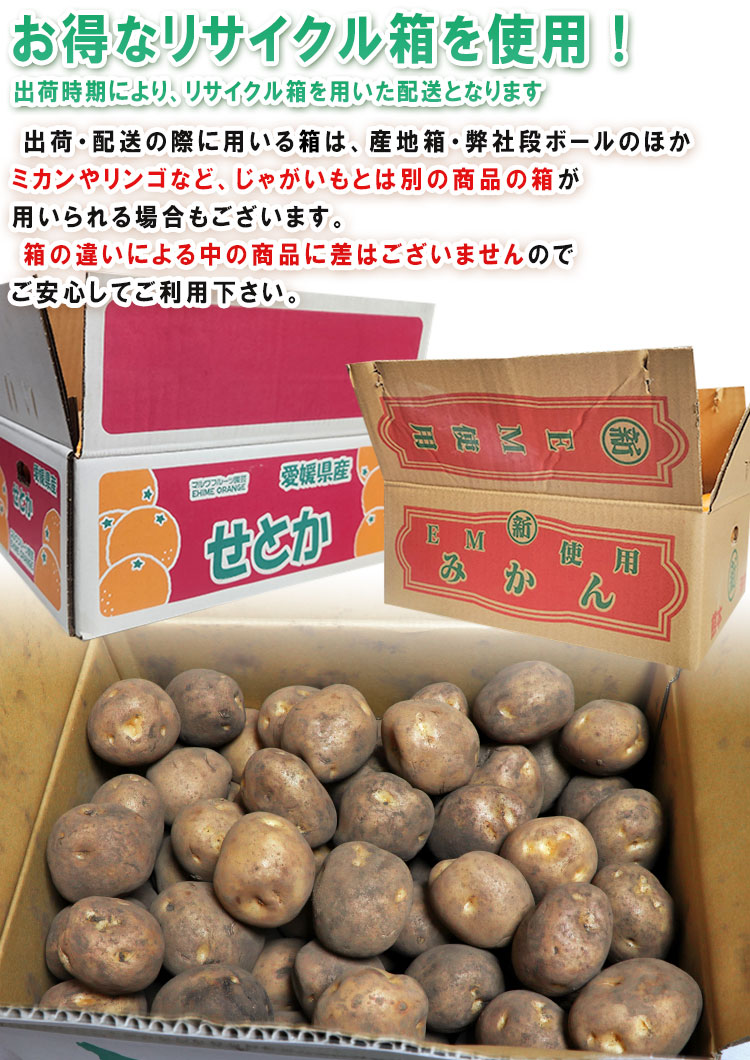 じゃがいも 野菜