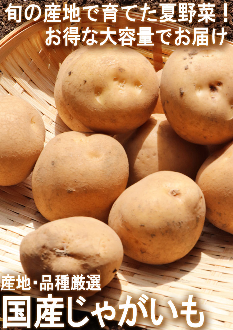 【ricca】北海道産じゃがいも（とうや）3Lサイズ　60kg じゃがいも 男爵・とうや中心 約10kg M〜3Lサイズ 千葉・茨城産等 大
