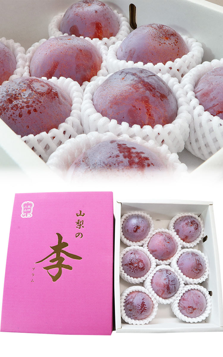 皇寿 こうじゅ 約1.8kg 6〜8玉 極上プラム 化粧箱入り 山梨県産 贈答品