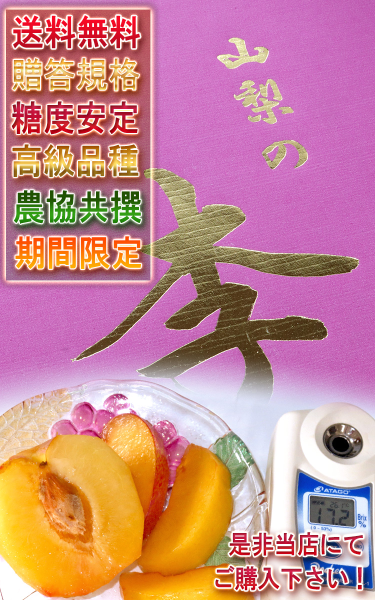 皇寿 こうじゅ 約1.8kg 6〜8玉 極上プラム 化粧箱入り 山梨県産 贈答品