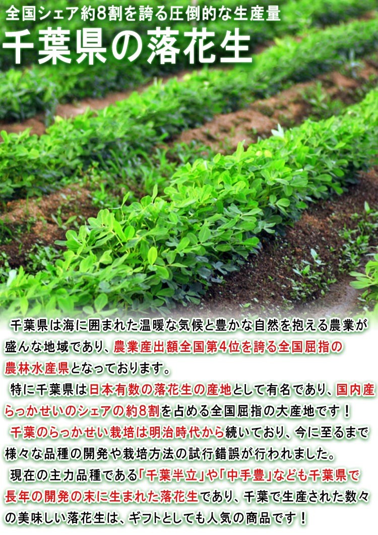 千葉半立 やちまた落花生 350g 千葉県・八街市産 半立ち厳選の無添加