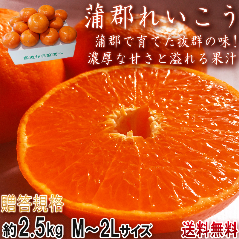 蒲郡れいこう 麗紅タンゴール 8〜14玉 約2.5kg M〜2Lサイズ 愛知 蒲郡れいこう 麗紅タンゴール 8〜14玉 約2.5kg M〜2Lサイズ 愛知