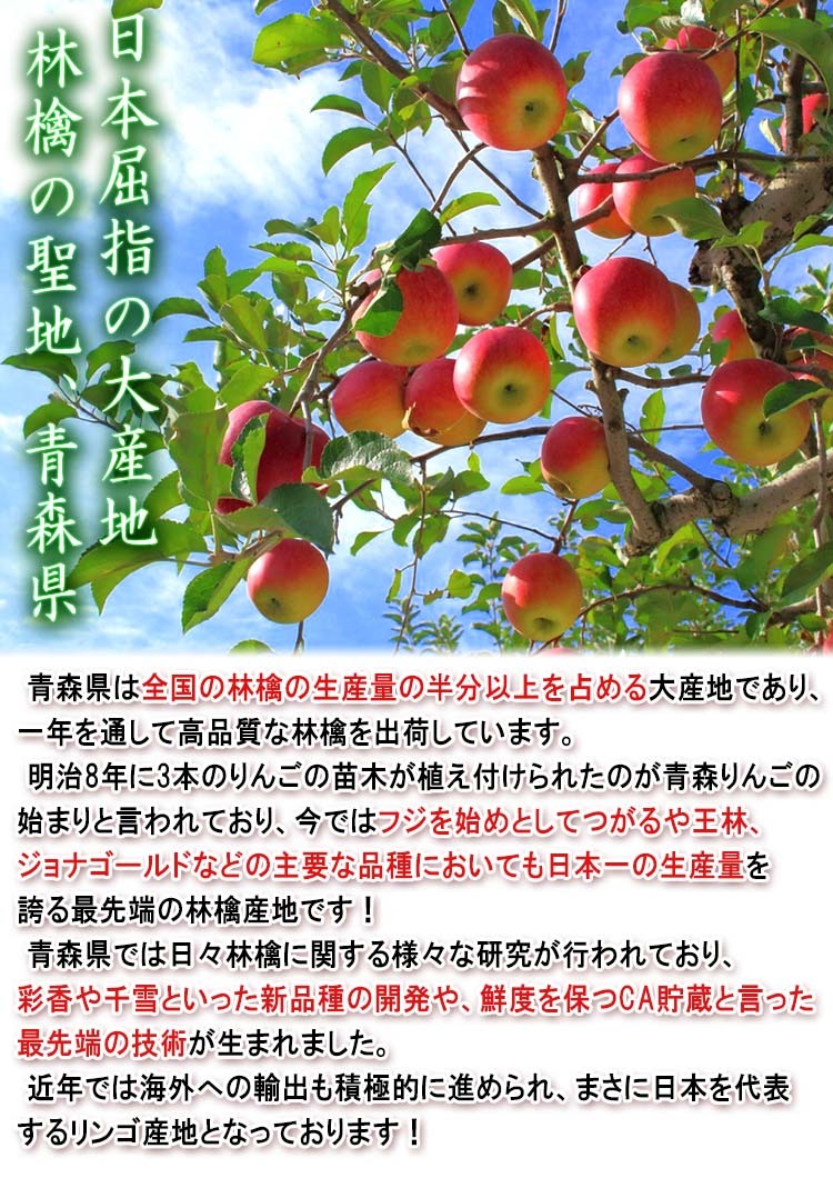 青森 林檎