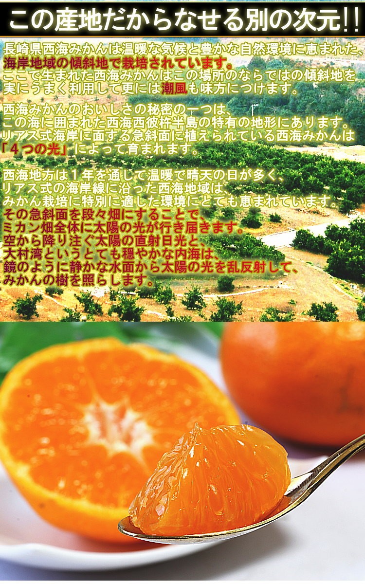 味っ子 西海みかん 約5kg 長崎県産 贈答規格 JAながさき西海 光