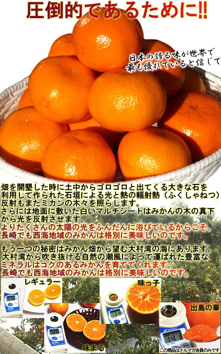 みかん 味まる 約5kg 長崎県産 訳あり品 JAながさき西海 光センサー選果で糖度12度保障!当店人気のブランド蜜柑をお得な価格でご配送