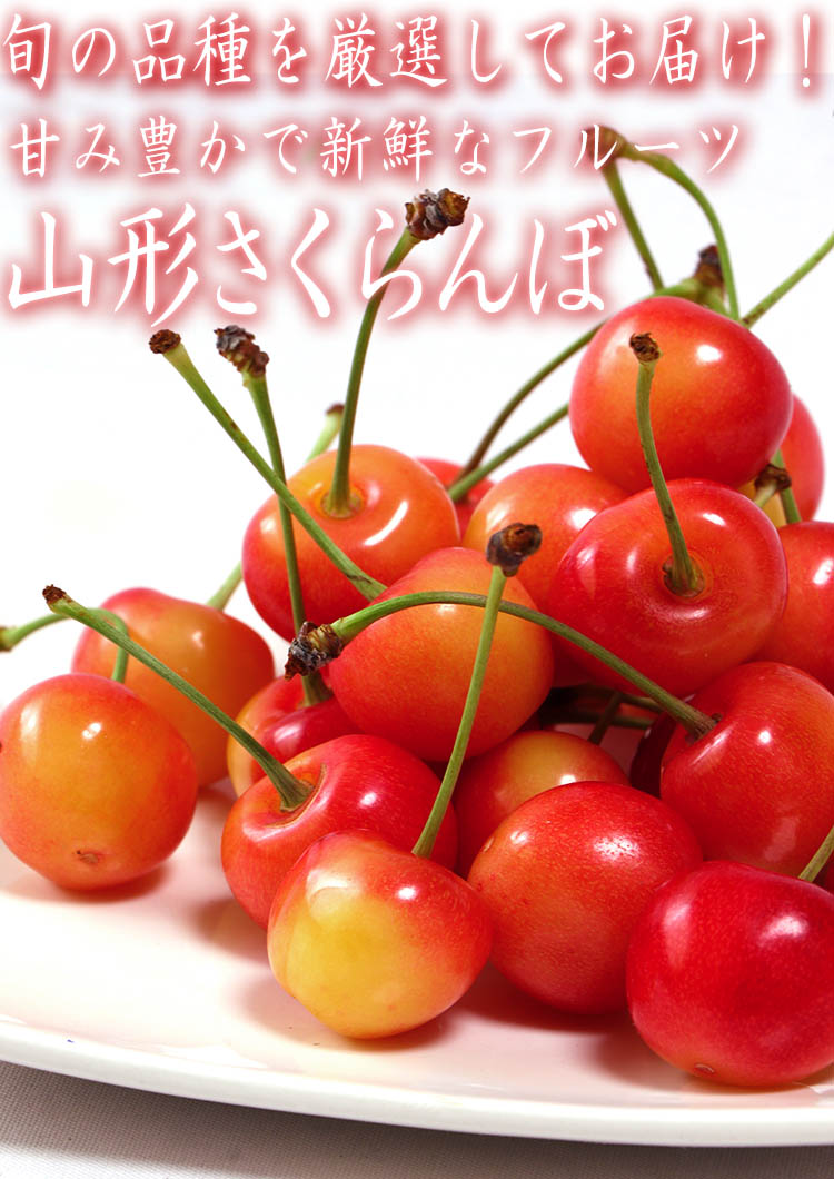 ふなぷー 紅秀峰　紅てまりMIXさくらんぼ 山形さくらんぼ 紅てまり・紅秀峰・紅王中心 約180g×4パック M