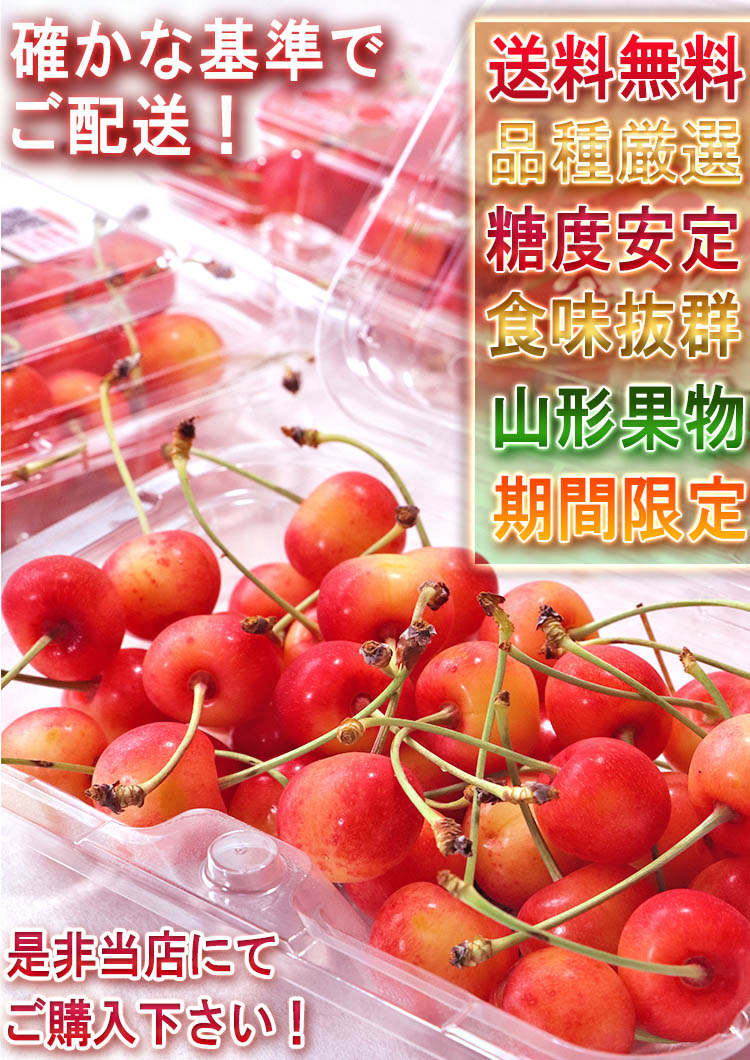 紅王１紅秀峰３　追加購入用 山形さくらんぼ 紅てまり・紅秀峰・紅王中心 約180g×4パック M