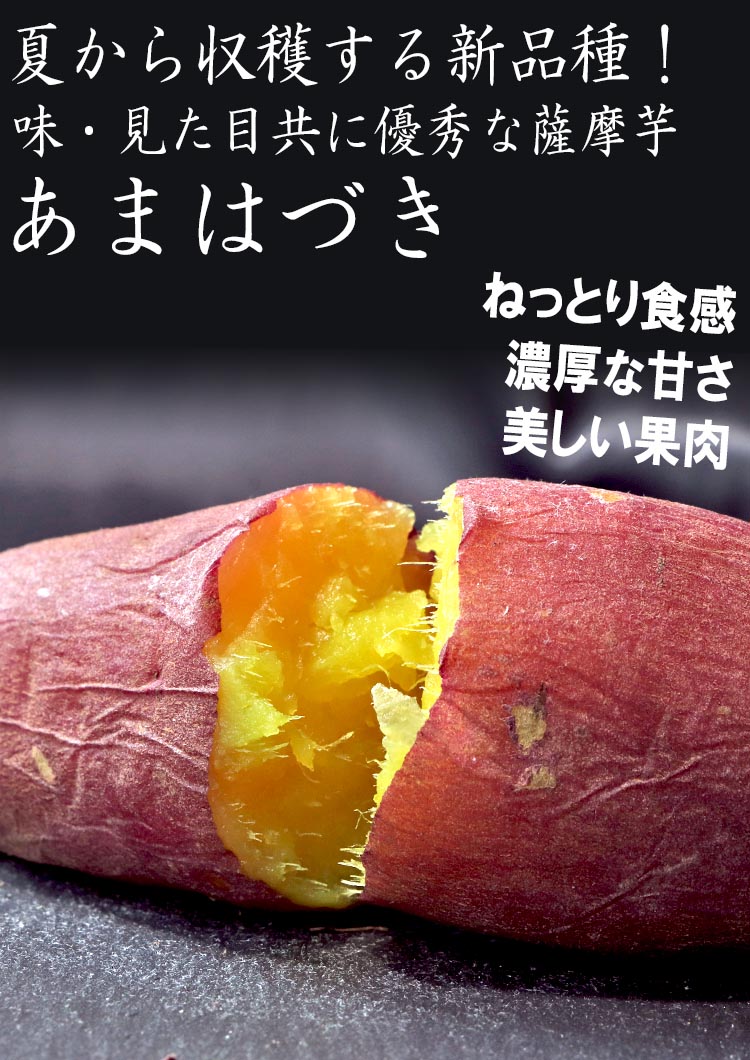 あまはづき さつまいも 約5kg サイズ混合 千葉県産 訳あり品 新品種の