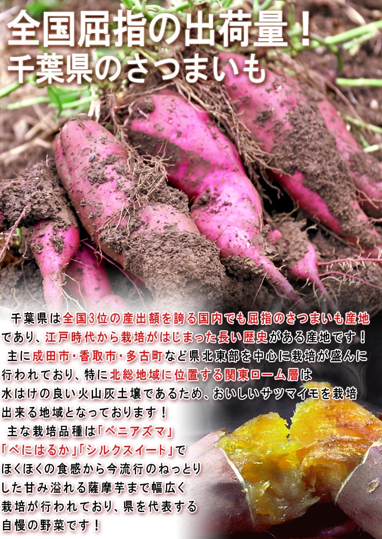 あまはづき さつまいも 約5kg サイズ混合 千葉県産 訳あり品 新品種の