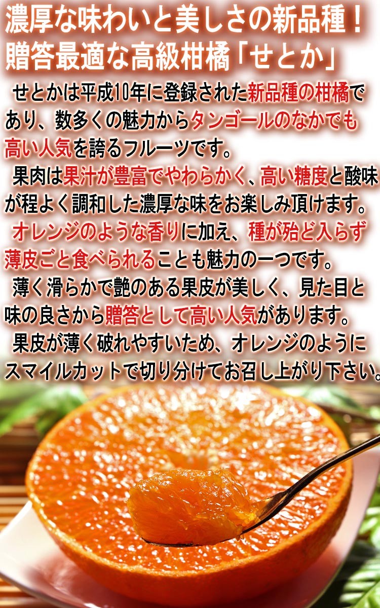 せとか 約2.5kg M〜4Lサイズ 贈答規格 愛媛県産 甘みと果汁豊か せとか 約2.5kg M〜4Lサイズ 贈答規格 愛媛県産 甘みと果汁豊か