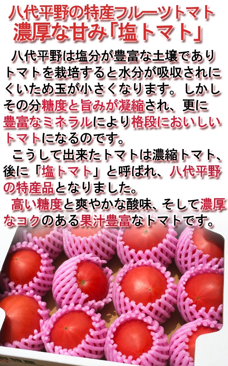 フルーツトマト 通販
