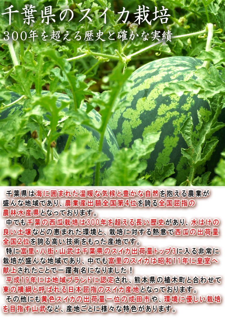 千葉 西瓜