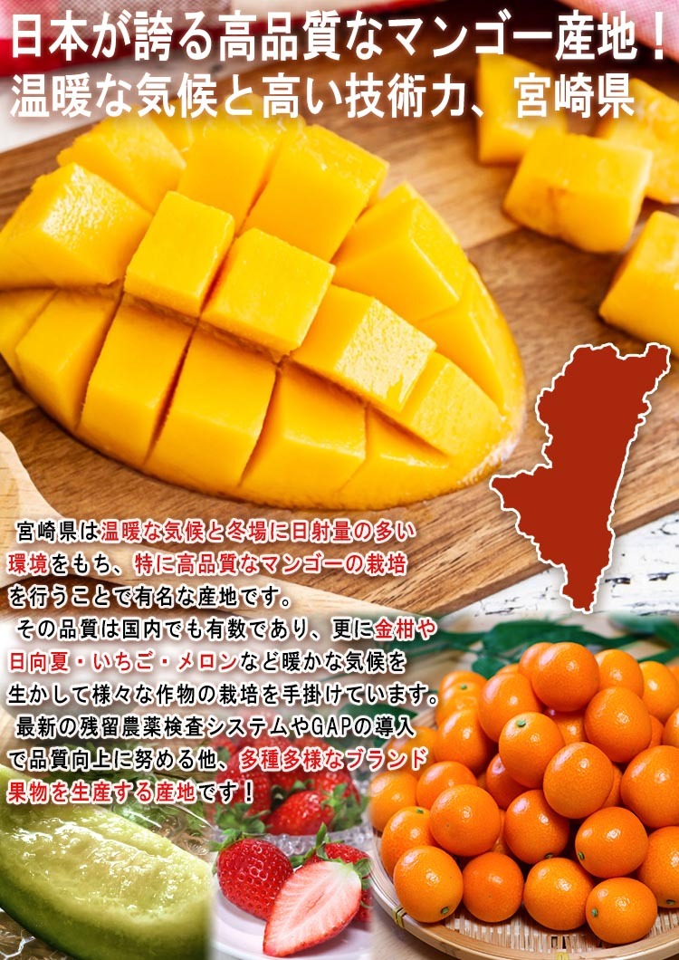 宮崎 フルーツ