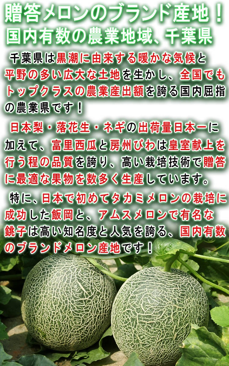 貴味メロン ギフト