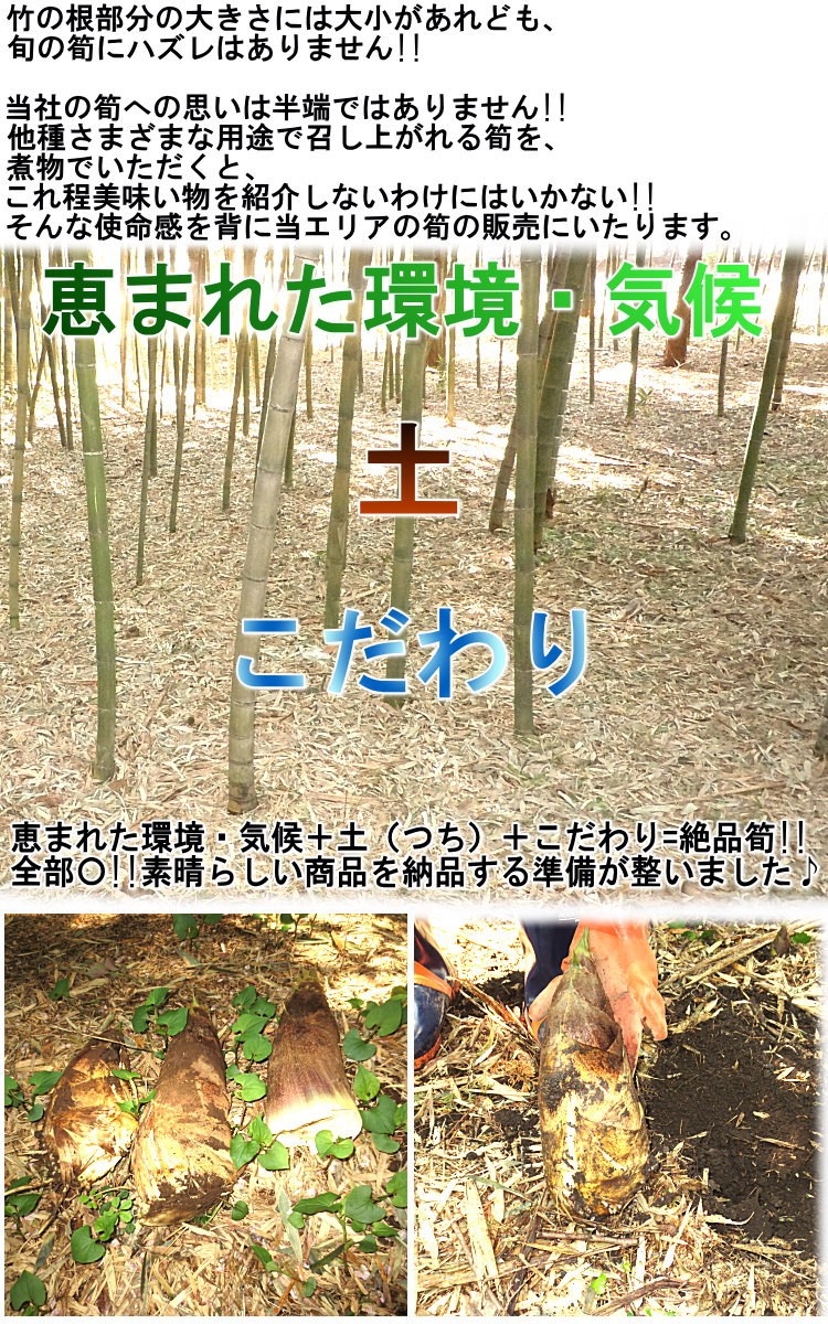 産地直送 孟宗筍 もうそうだけ 生たけのこ 約3 5kg 2 7本 千葉県産 無農薬栽培の竹の子 朝一番で収穫した新鮮な筍を米ぬか同梱で直送 002 kg 産地から玄関へ 通販 Yahoo ショッピング