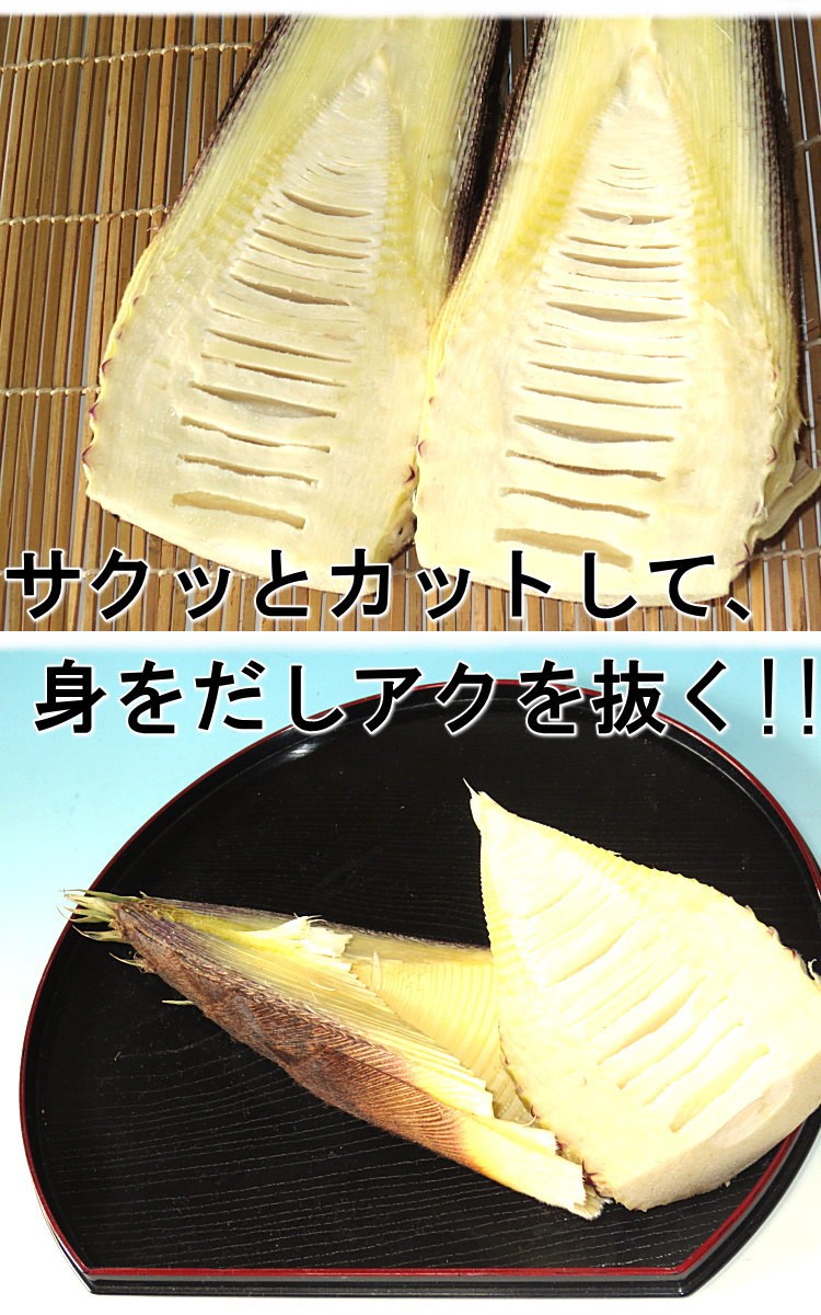 産地直送 孟宗筍 もうそうだけ 筍 生たけのこ 特大サイズ！ 約8〜10kg