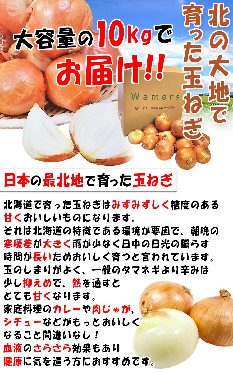 送料無料 通販