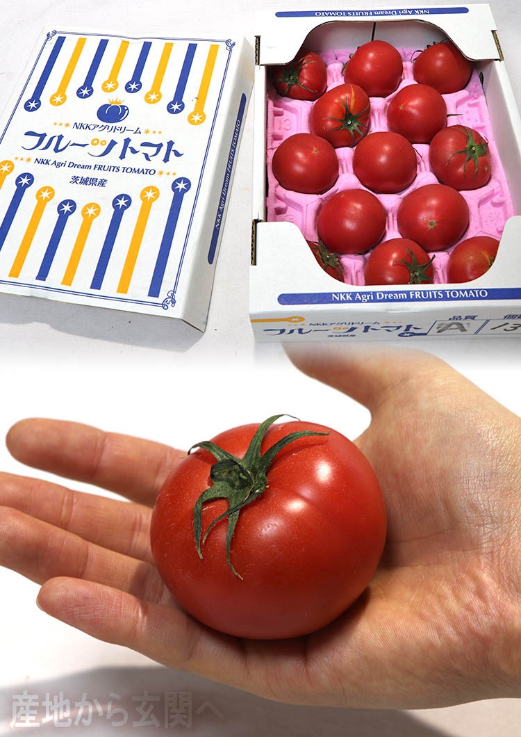 茨城 トマト