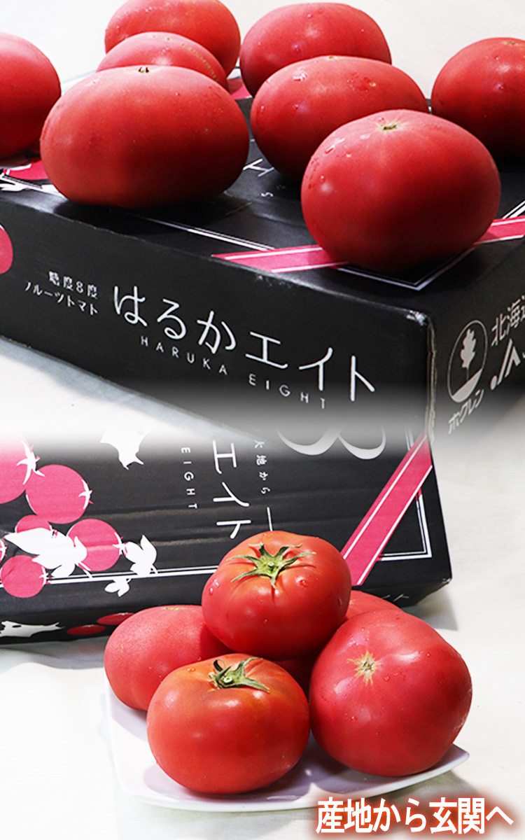 はるかエイト フルーツトマト 約1kg 8〜15玉 北海道産 贈答規格 JA北はるか 糖度8度保証の贈答トマト！ギフト最適な特産品 トマト 