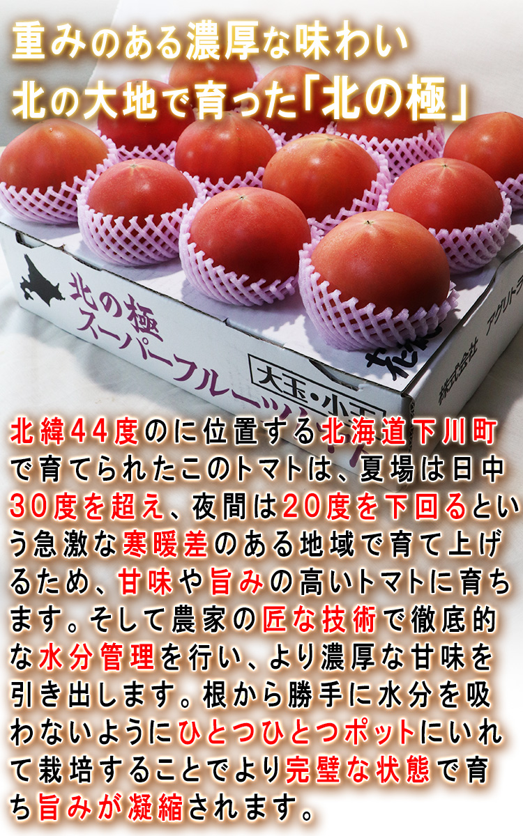 北の極 フルーツトマト