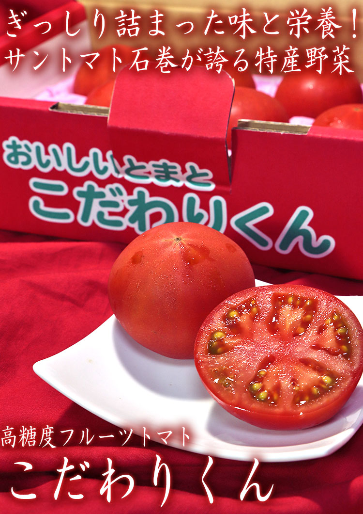 こだわりくん フルーツトマト 約900g 11〜16玉 宮城県産 贈答規格 サン
