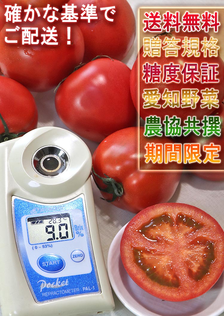 匠トマト 約800g 10〜14玉 愛知県産 贈答規格 JAひまわり 糖度7度保証