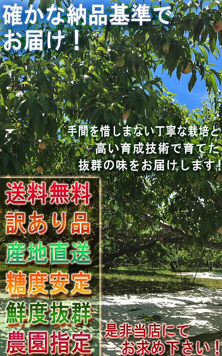 桃 家庭用