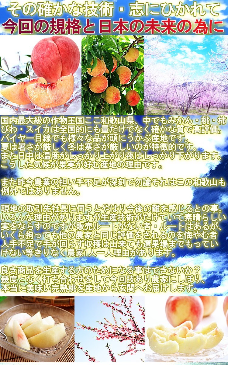 ばあばさん専用　桃　はつひめ　ワケあり　10kg ばあばさん専用 桃 はつひめ ワケあり 10kg - メルカリ