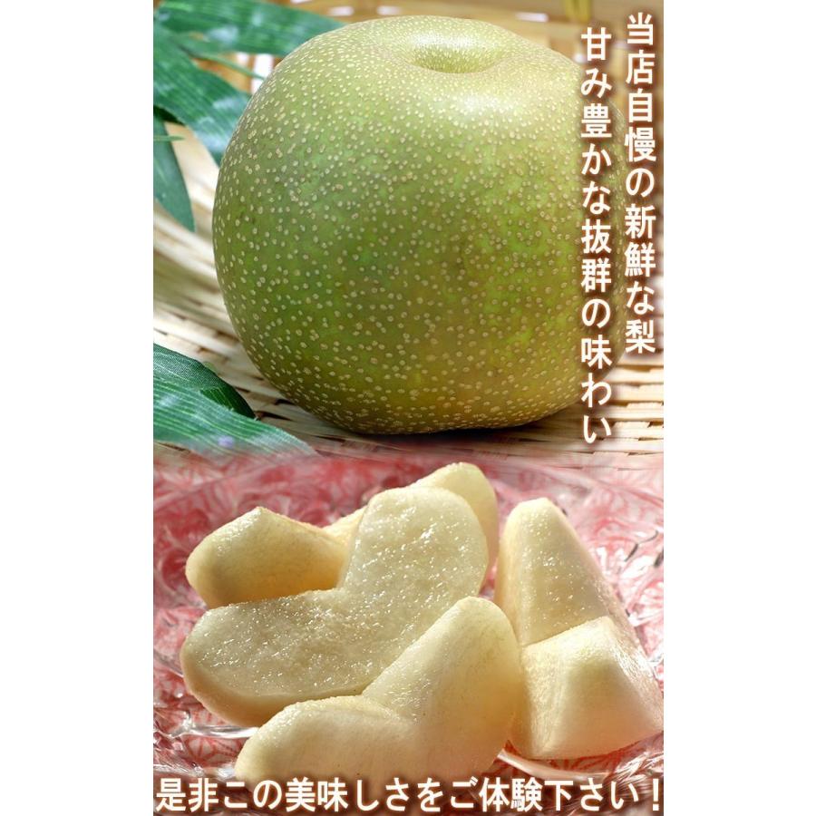 ナシ 大玉