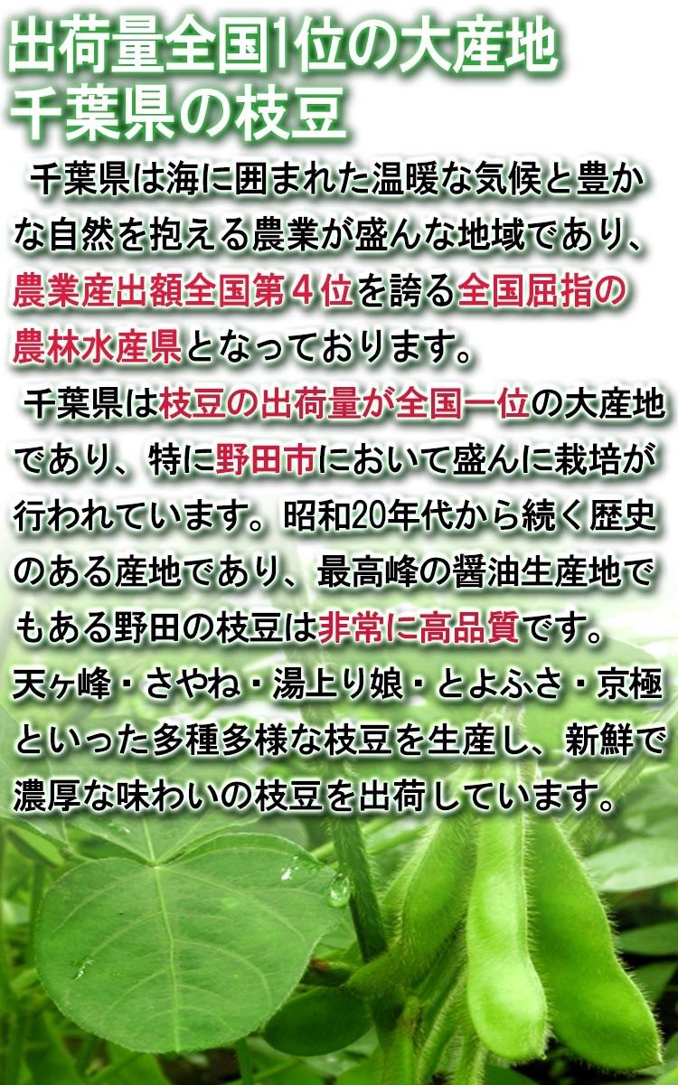 野菜 千葉県