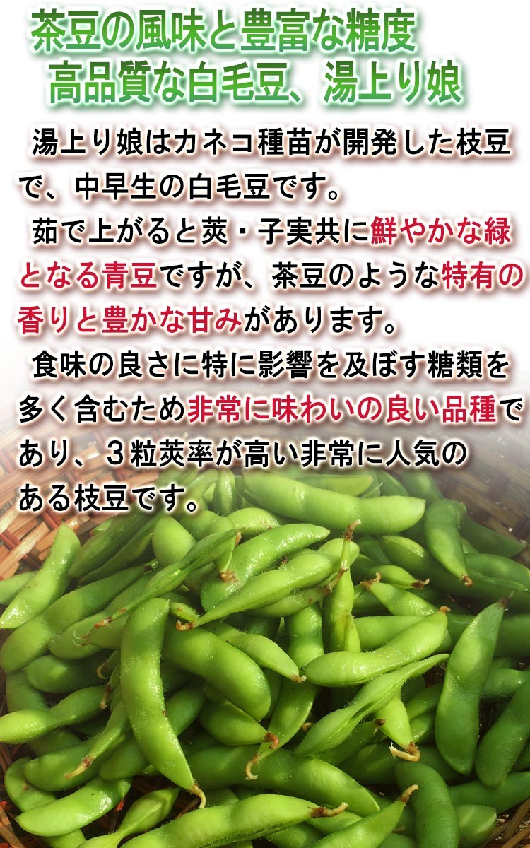 えだまめ 新鮮