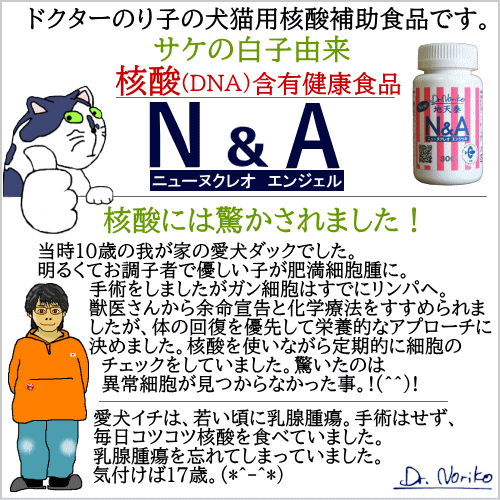 ニューヌクレオエンジェル 300粒×2本 ドクターのり子 犬猫用核酸